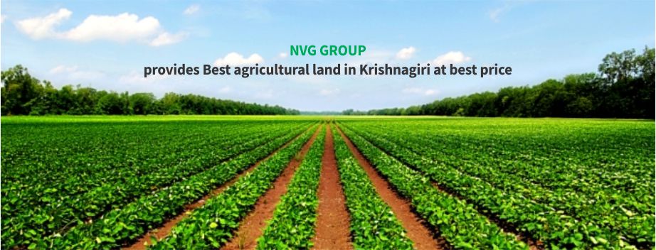 Nvg Group Provides Best Agricultural Land in Krishnagiri at Best Price